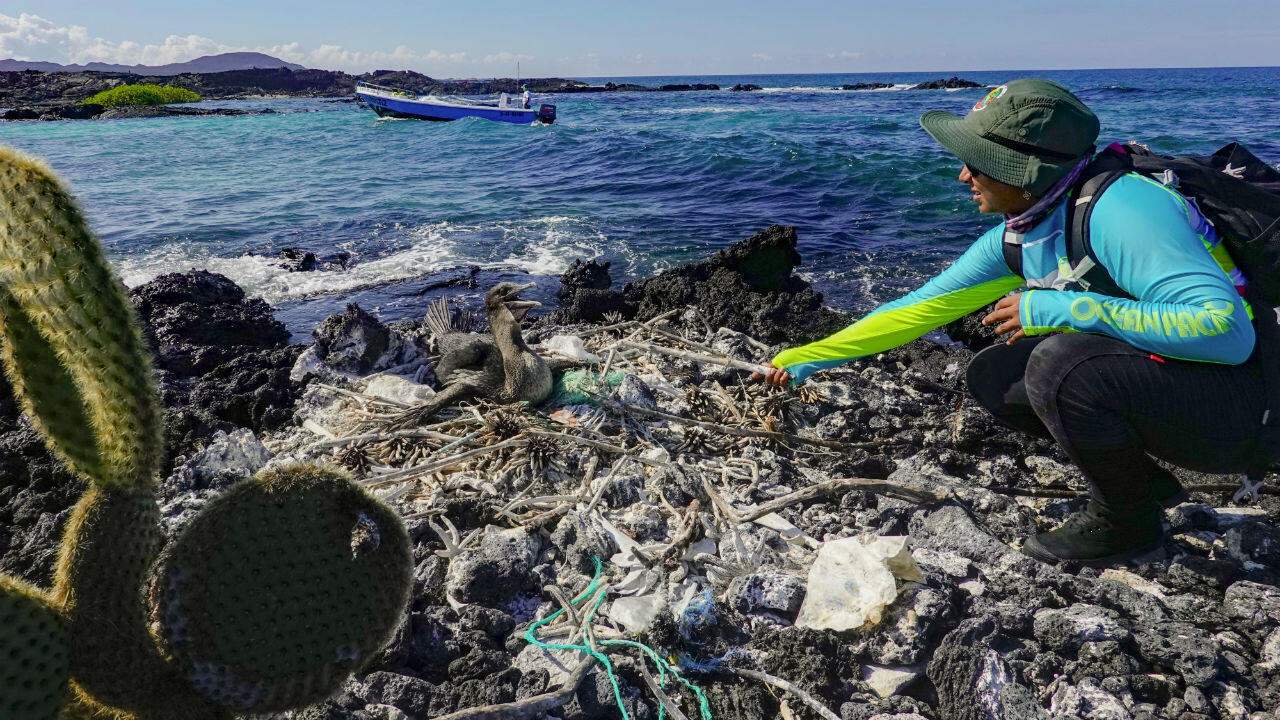     Du littoral aux océans : comment agir efficacement contre la pollution plastique ?