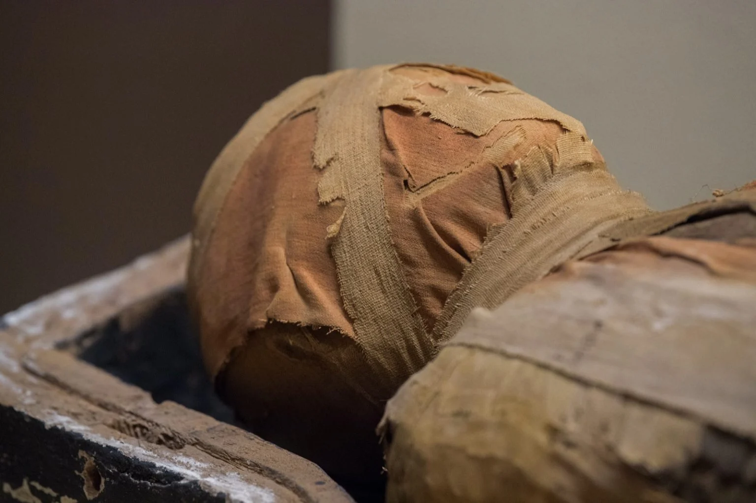 Découverte de momies : une lignée humaine ancienne révèle ses secrets