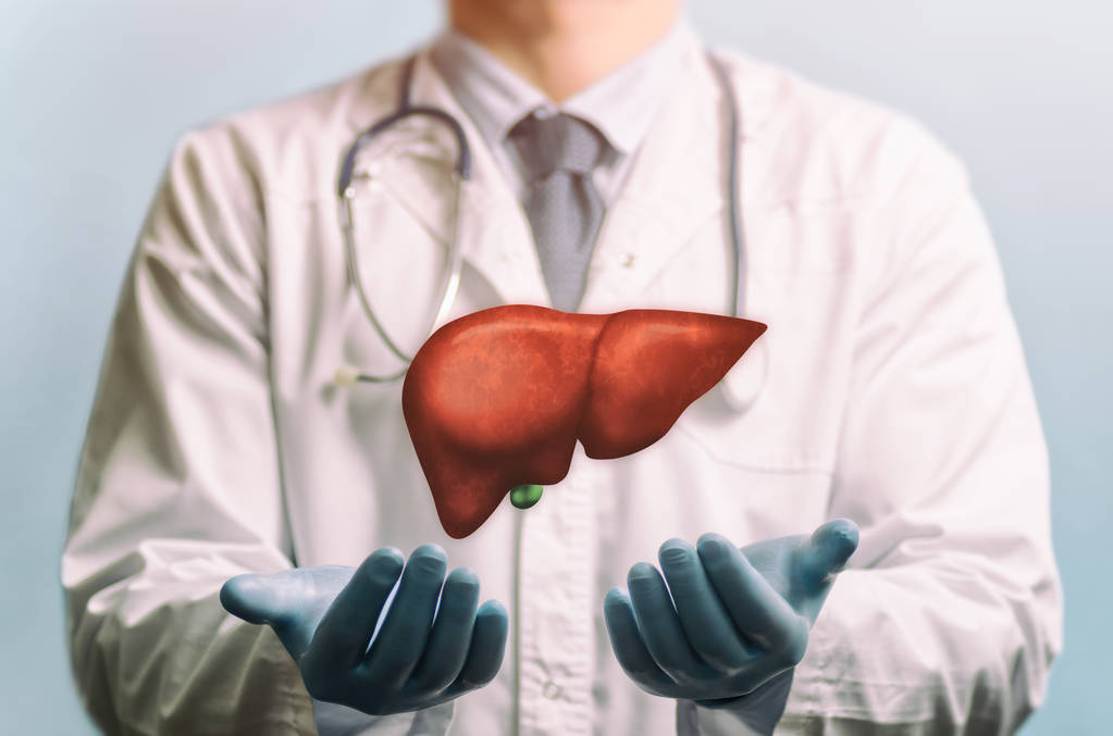 Santé du Foie : Des Rituels Matinaux Simples pour un Organe plus Sain