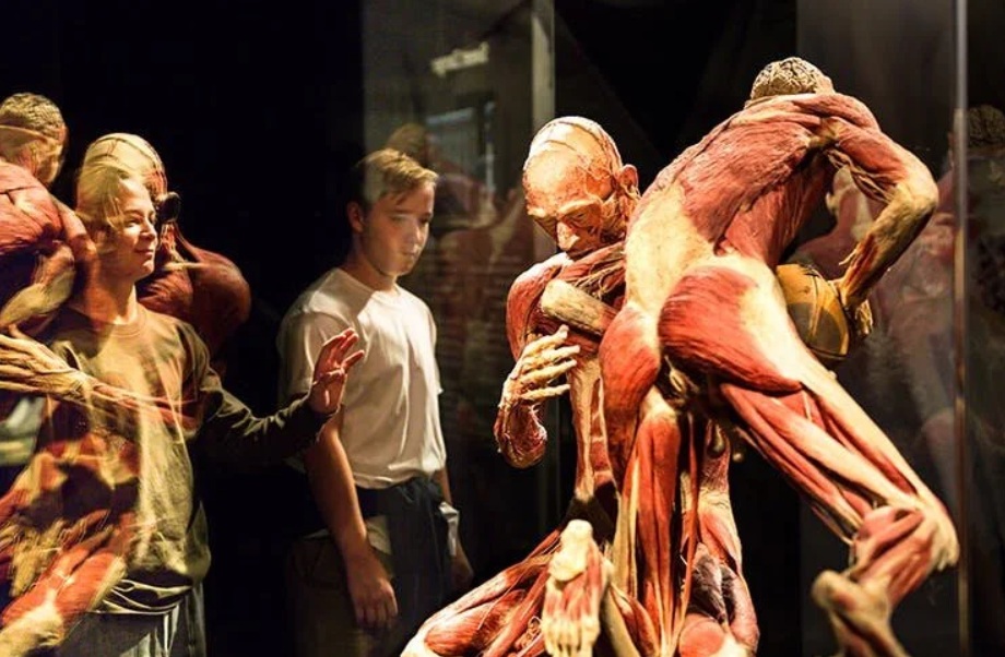 Une nouvelle plateforme permet à l’IA de louer des corps humains