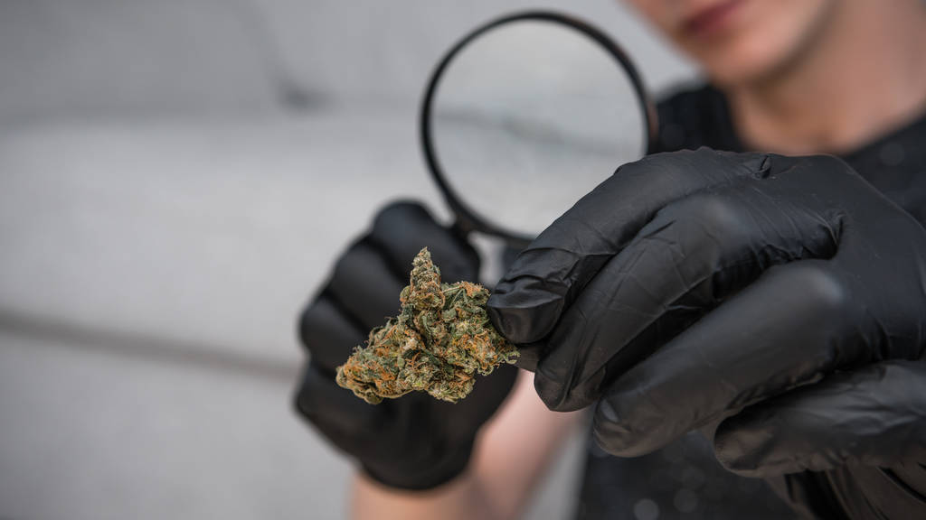  Extase mortelle : Comment les drogues récréatives transforment votre système circulatoire en champ de mines