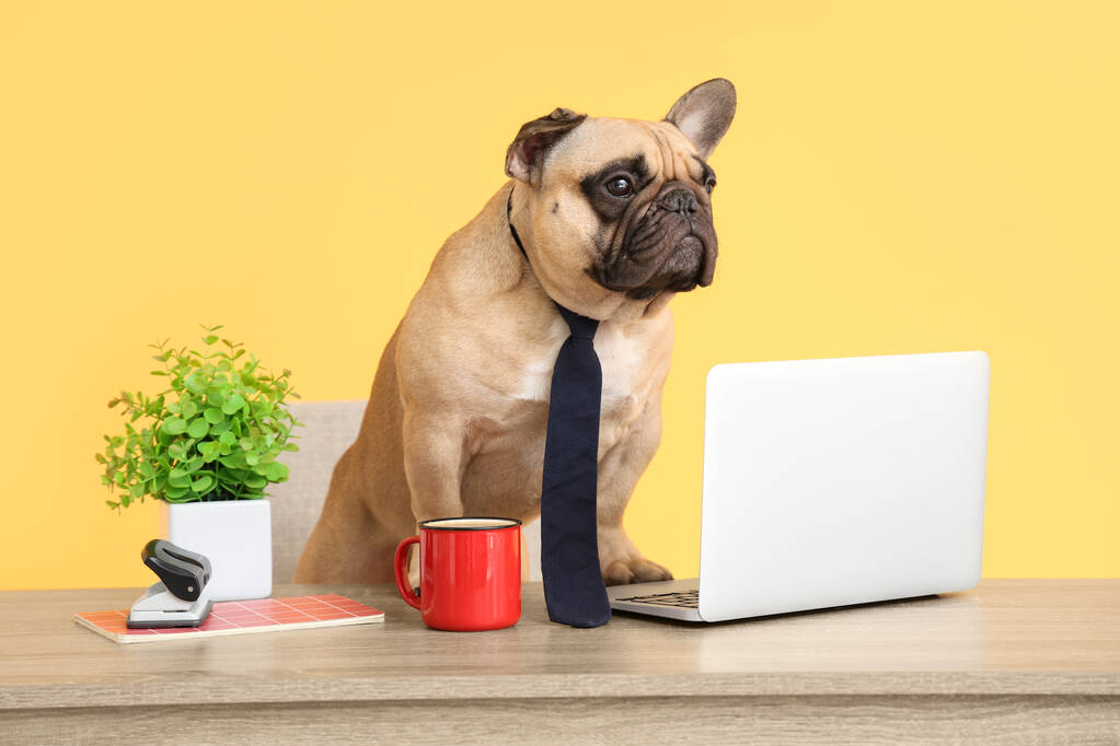 Pourquoi les sites web insistent-ils pour que vous prouviez que vous êtes humain ?
